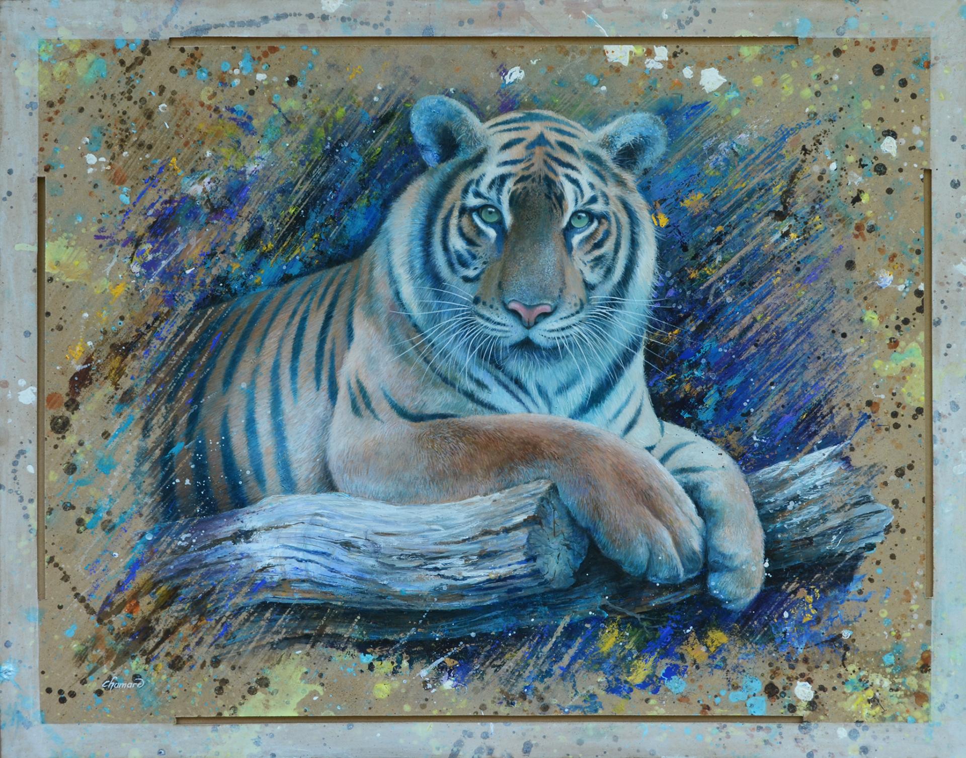 tigre 1
