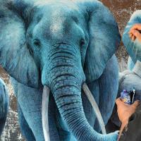 travail sur la famille éléphant