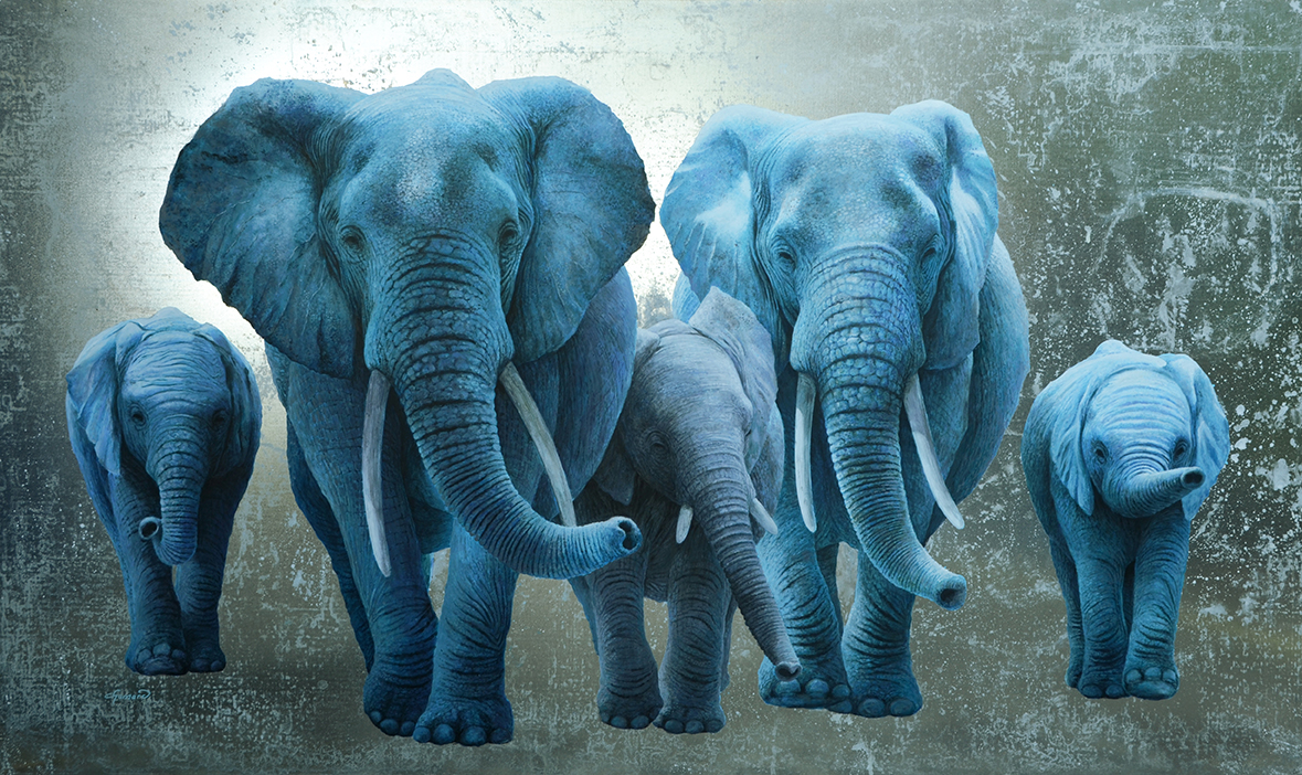 famille éléphants